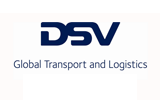 DSV